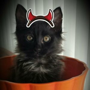 Meet your Posher, Randy